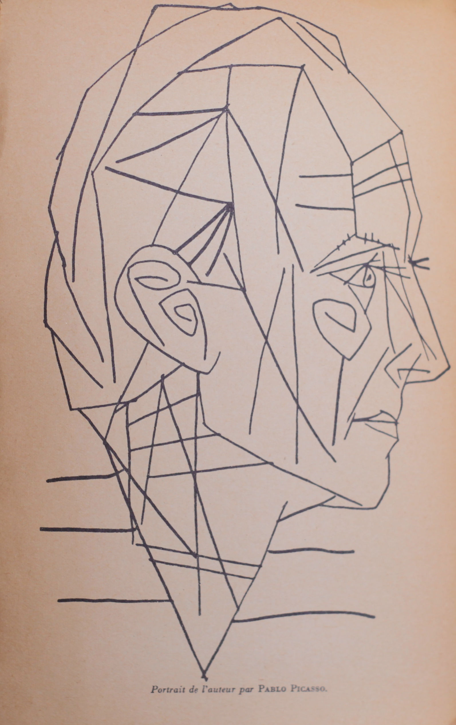  The Picasso frontispiece