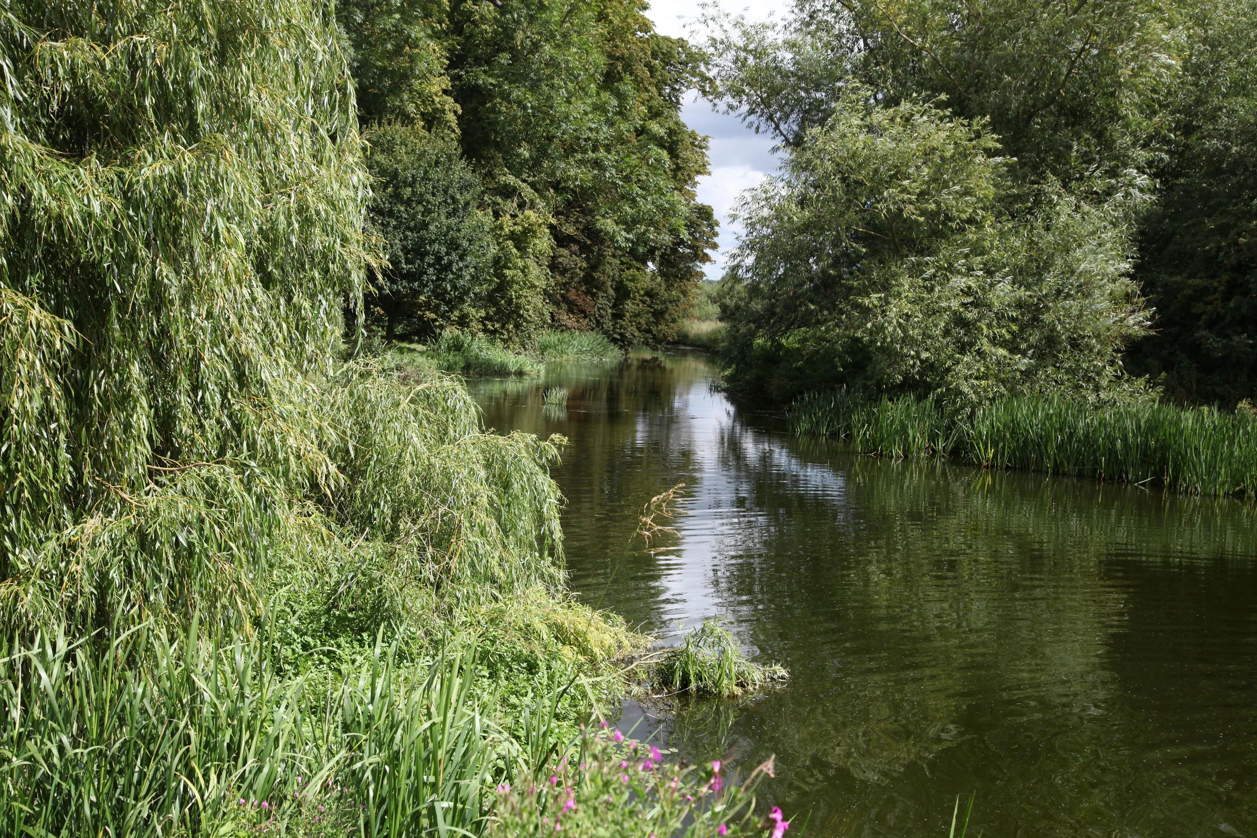 The river at Grantchester, a favourite spot for swimming and punting.