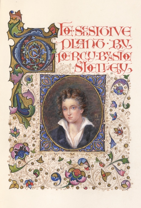  From the New York Public Library