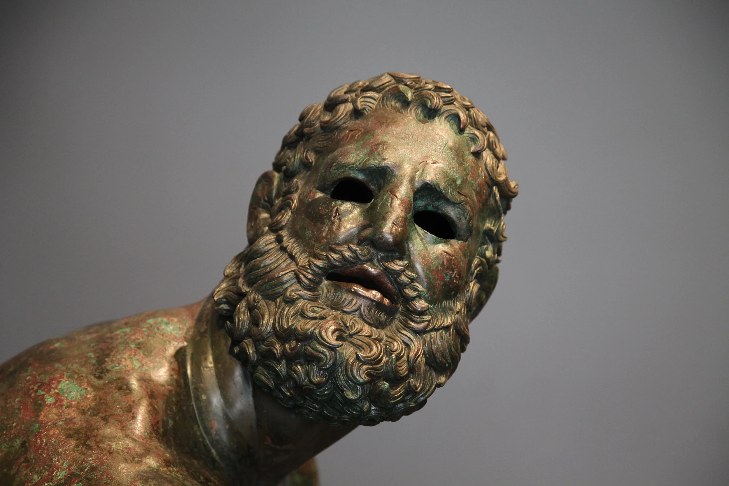 Boxer head.jpg
