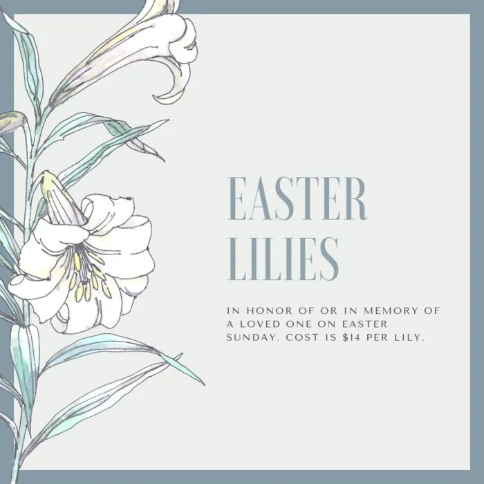 Purchase Easter lilies in Honor of or In Memory of a loved one. Cost is $14 per Lily.