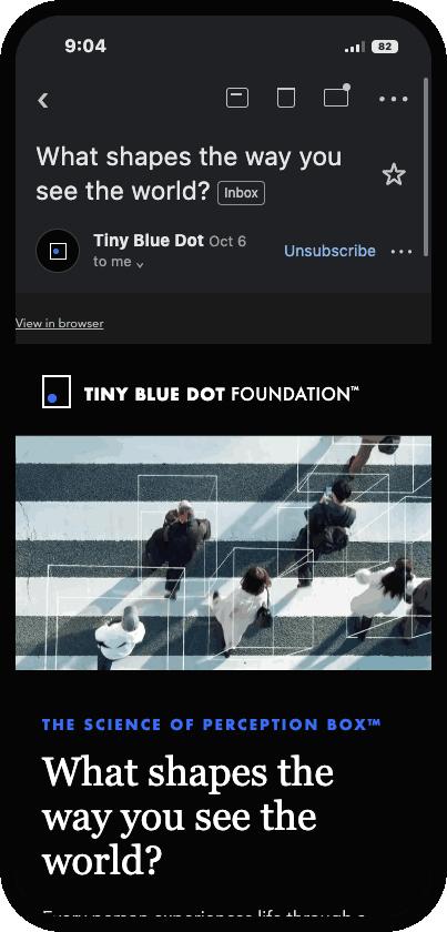 01 Perception Box - mobile scroll.gif
