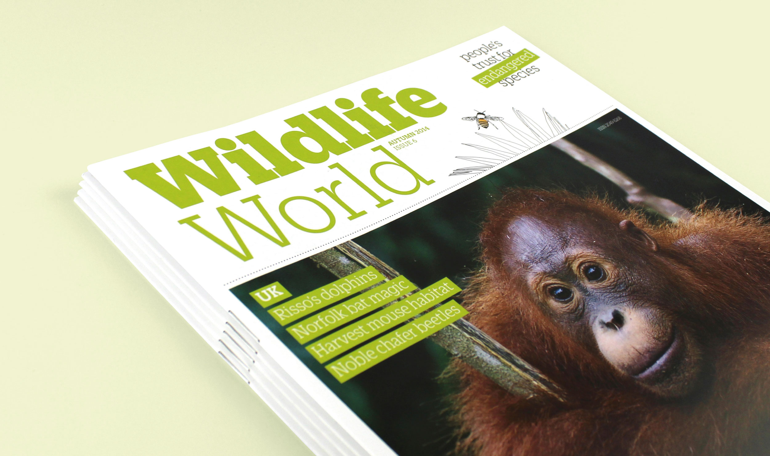 Wildlife world