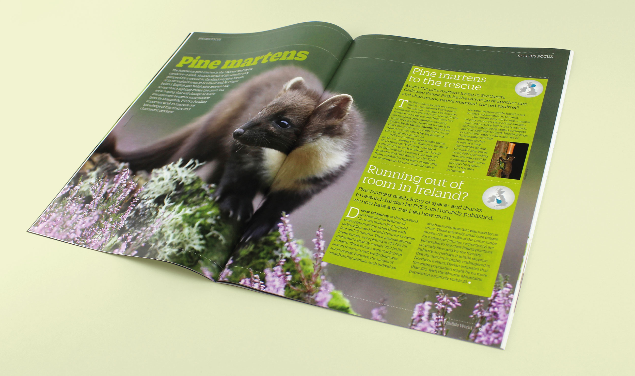 Our re-design introduced a typographic hierarchy, editorial devices and brand illustrations to embellish and delight.