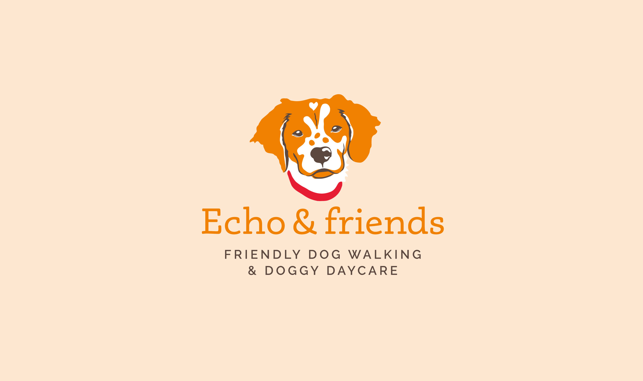 Echo and Friends