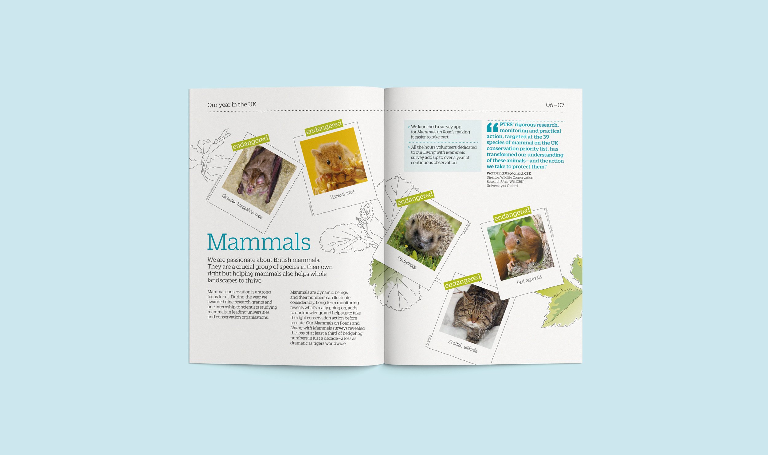 We developed the idea of ‘bringing the wild back to life’. This was dramatised using an illustrative approach showing colour draining from, or re-entering, wildlife habitats.