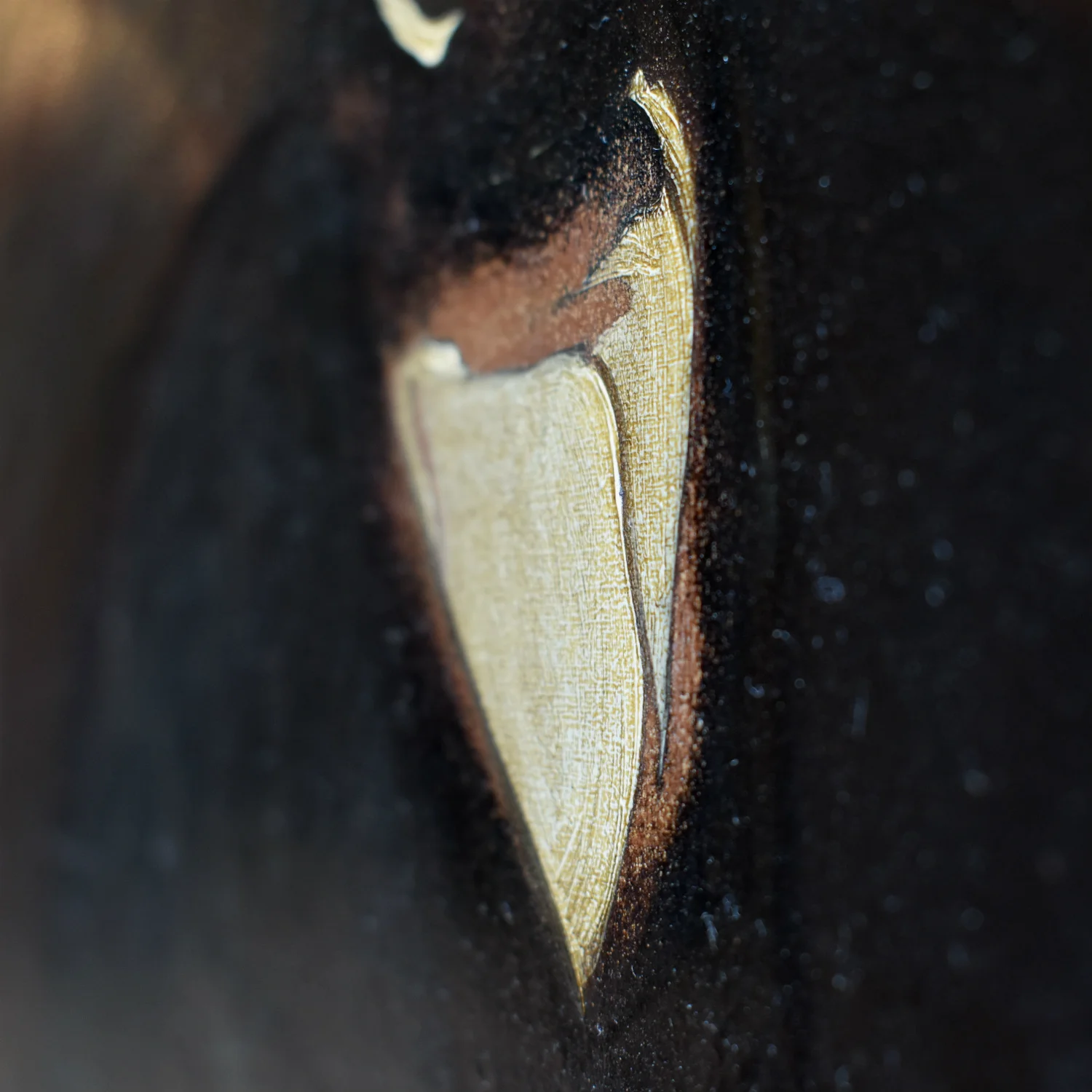DSC_0875.jpg