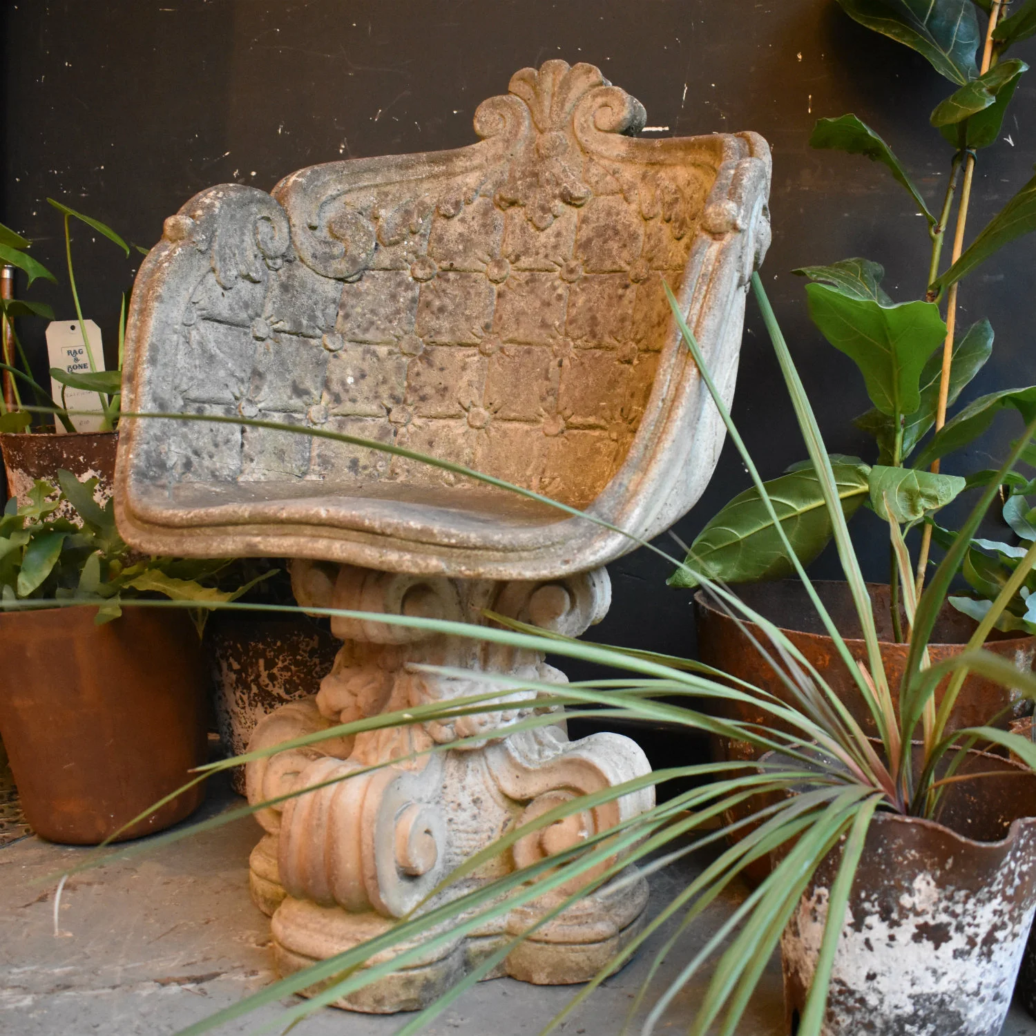 DSC_0268.jpg