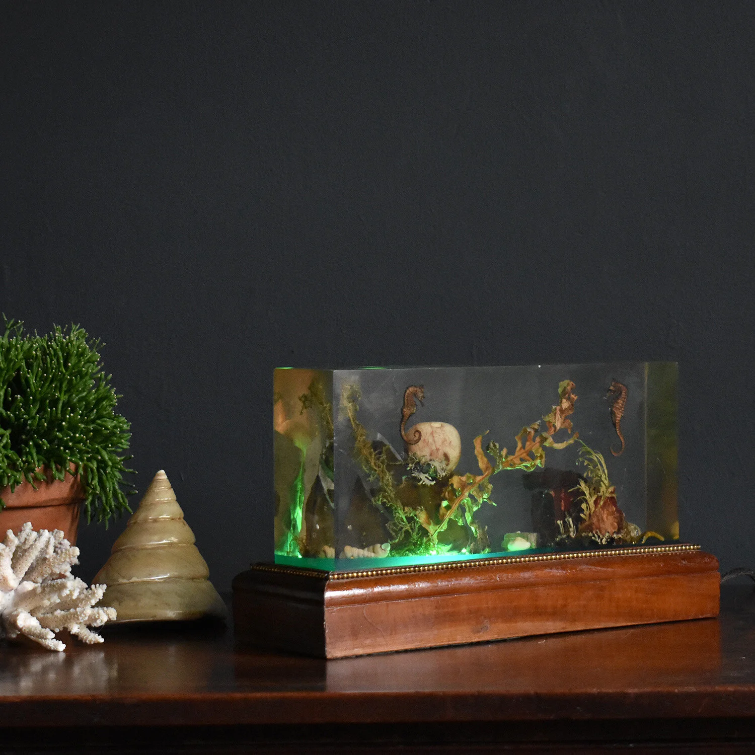 Illuminated Lucite Underwater Lamp, 1950s