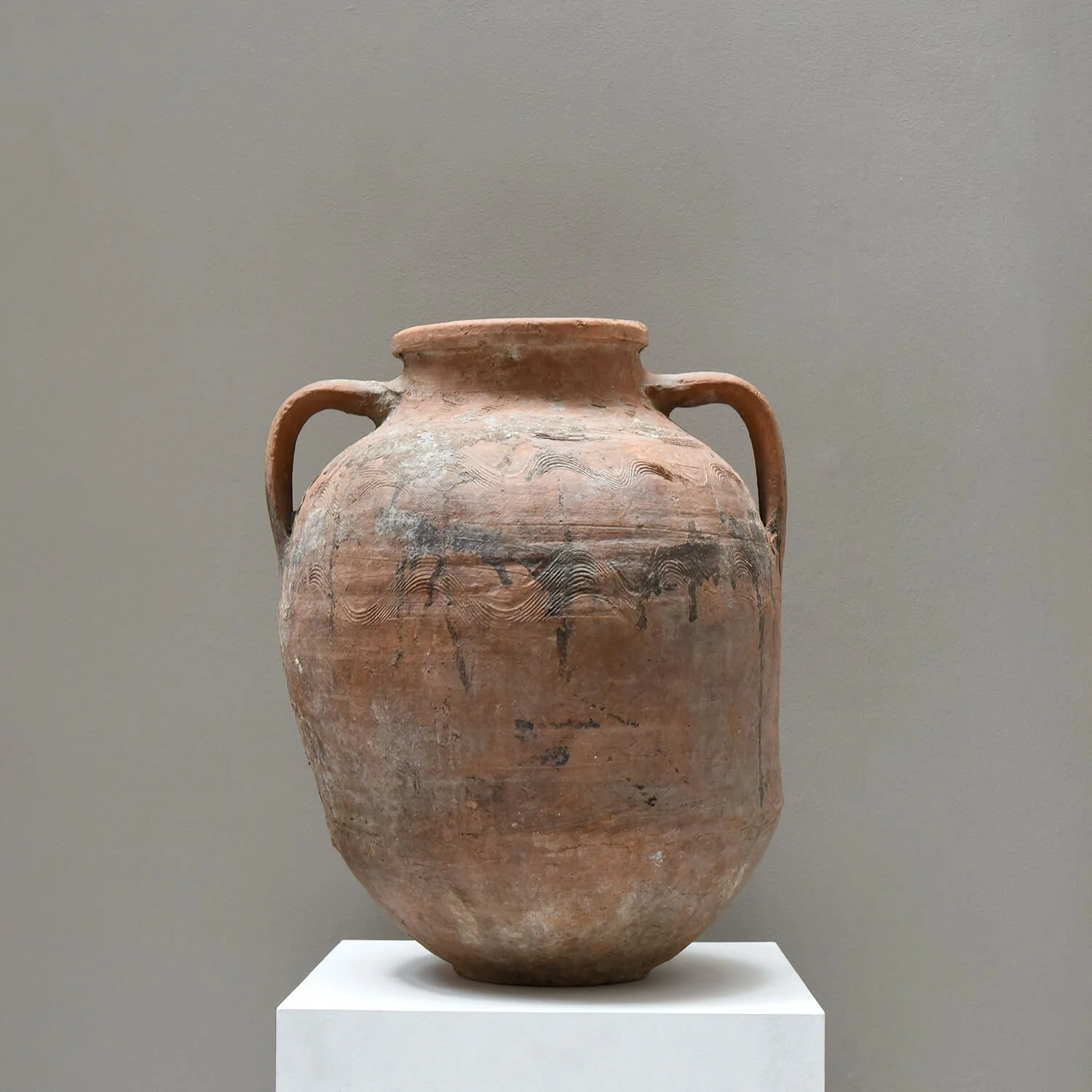 Large Early 20th Century Terracotta Olive Pot hutt decor bristol