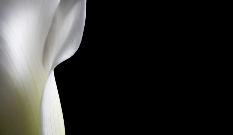 RWS_Flower-0055(LR).jpg