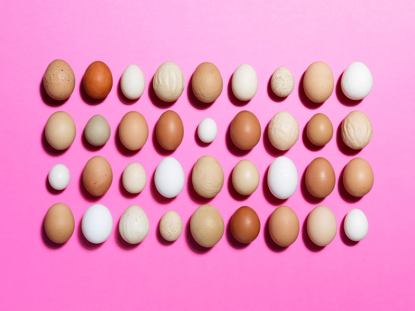 Geile Eier Food_10_1.jpg
