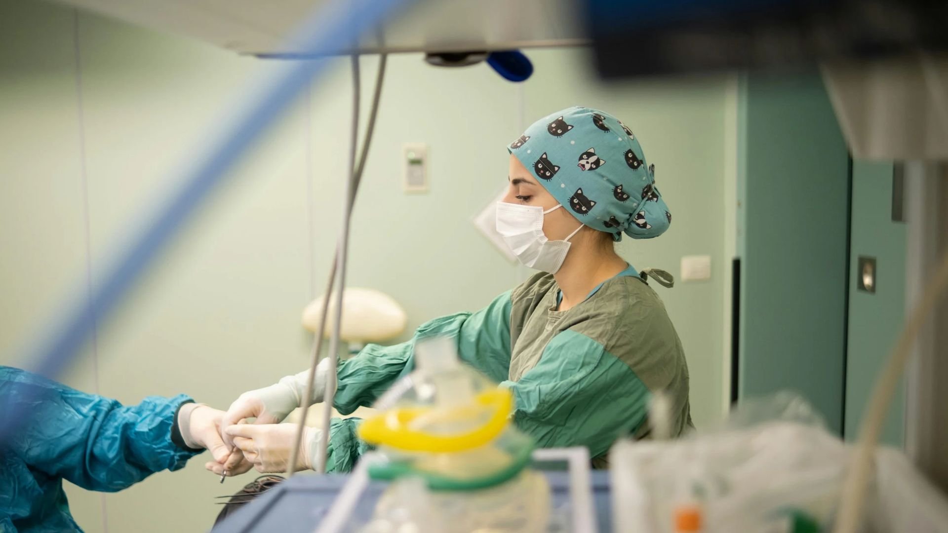 The Most In-Demand Nursing Specialisms&nbsp;