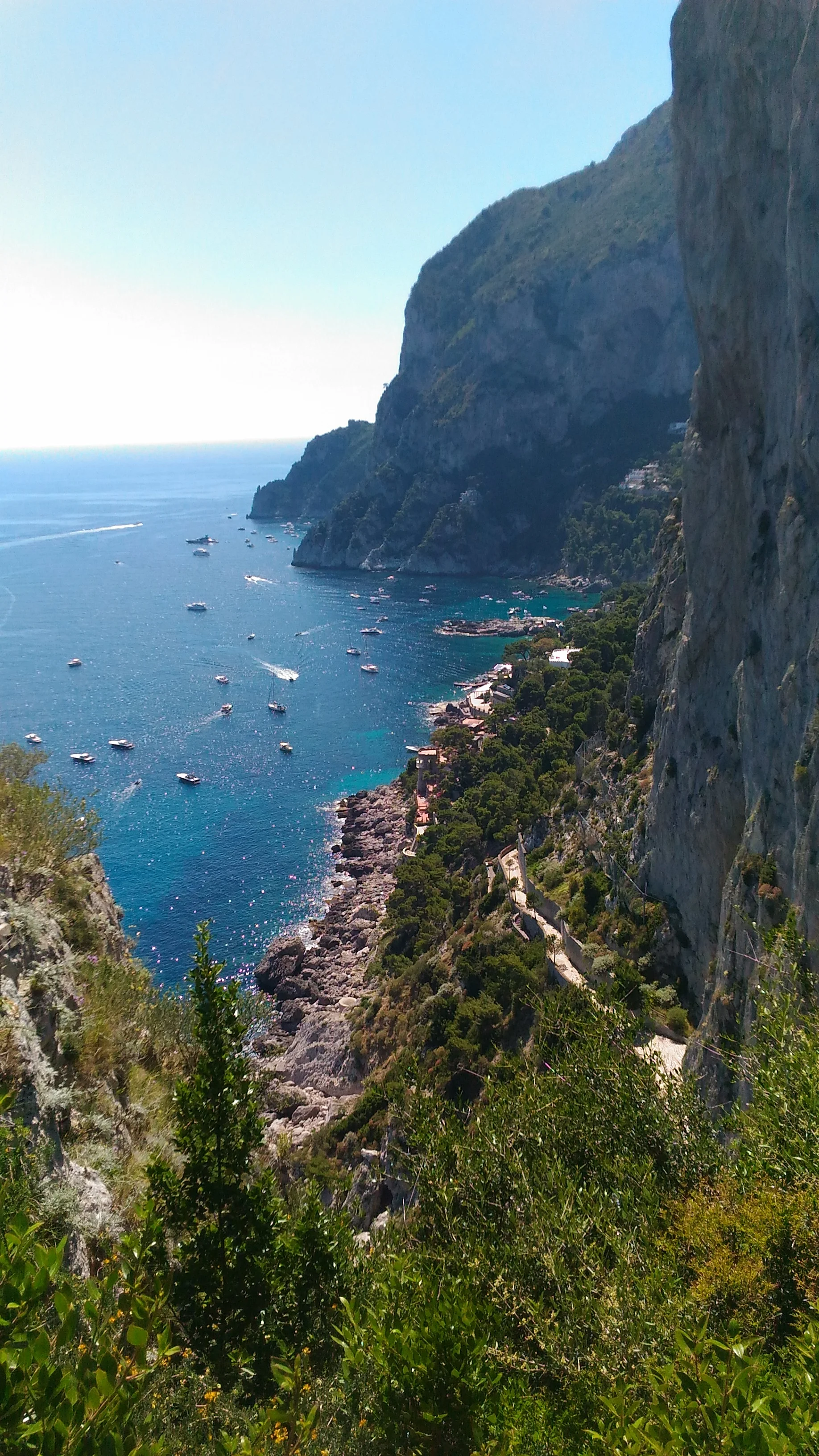 CAPRI