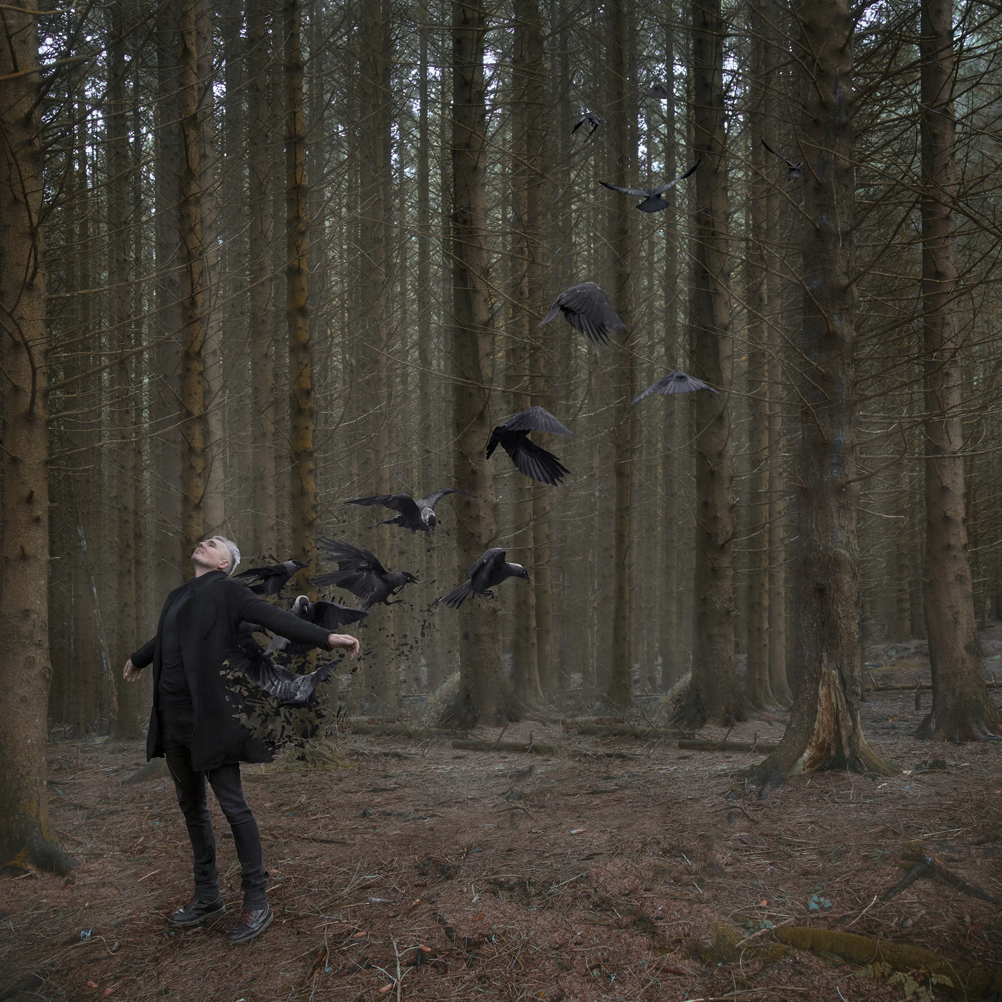 photo by Lucy Purrington