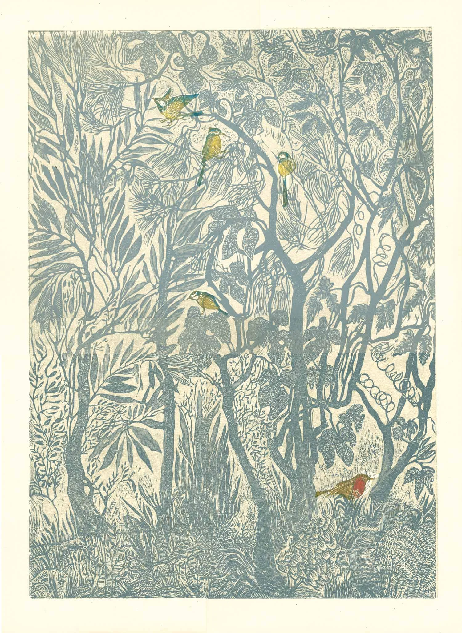 2_birdwatching.1_robin.jpg