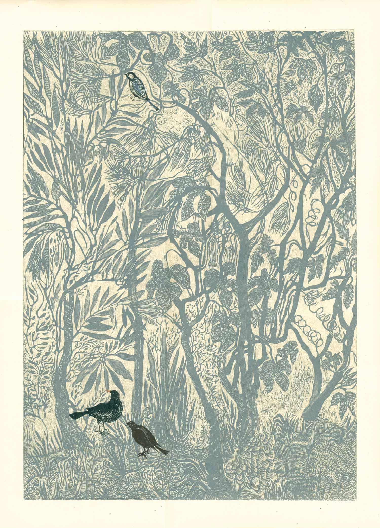 3_birdwatching.2_blackbirds.jpg