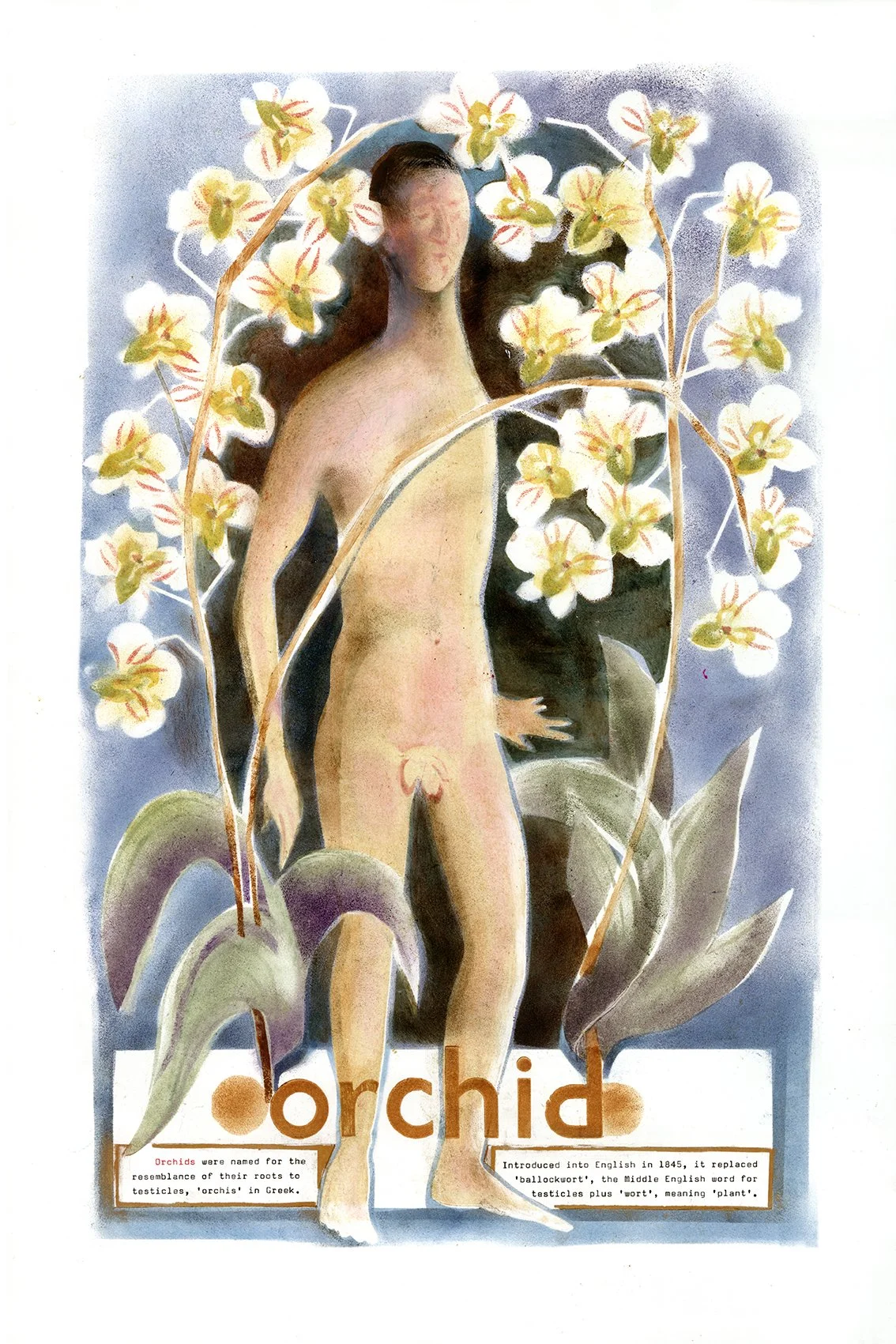 Orchid.72.jpg