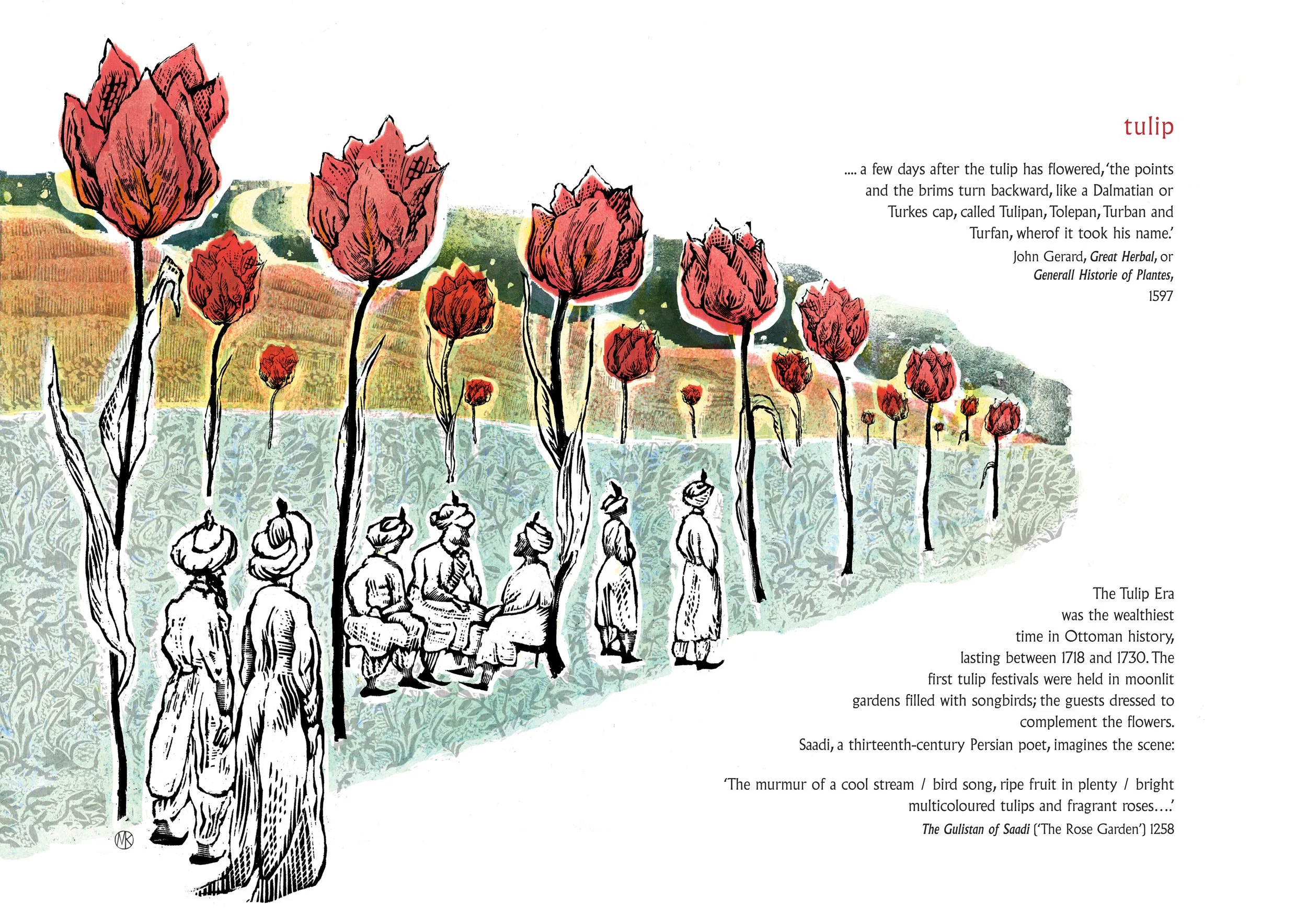 TULIP-a3.jpg