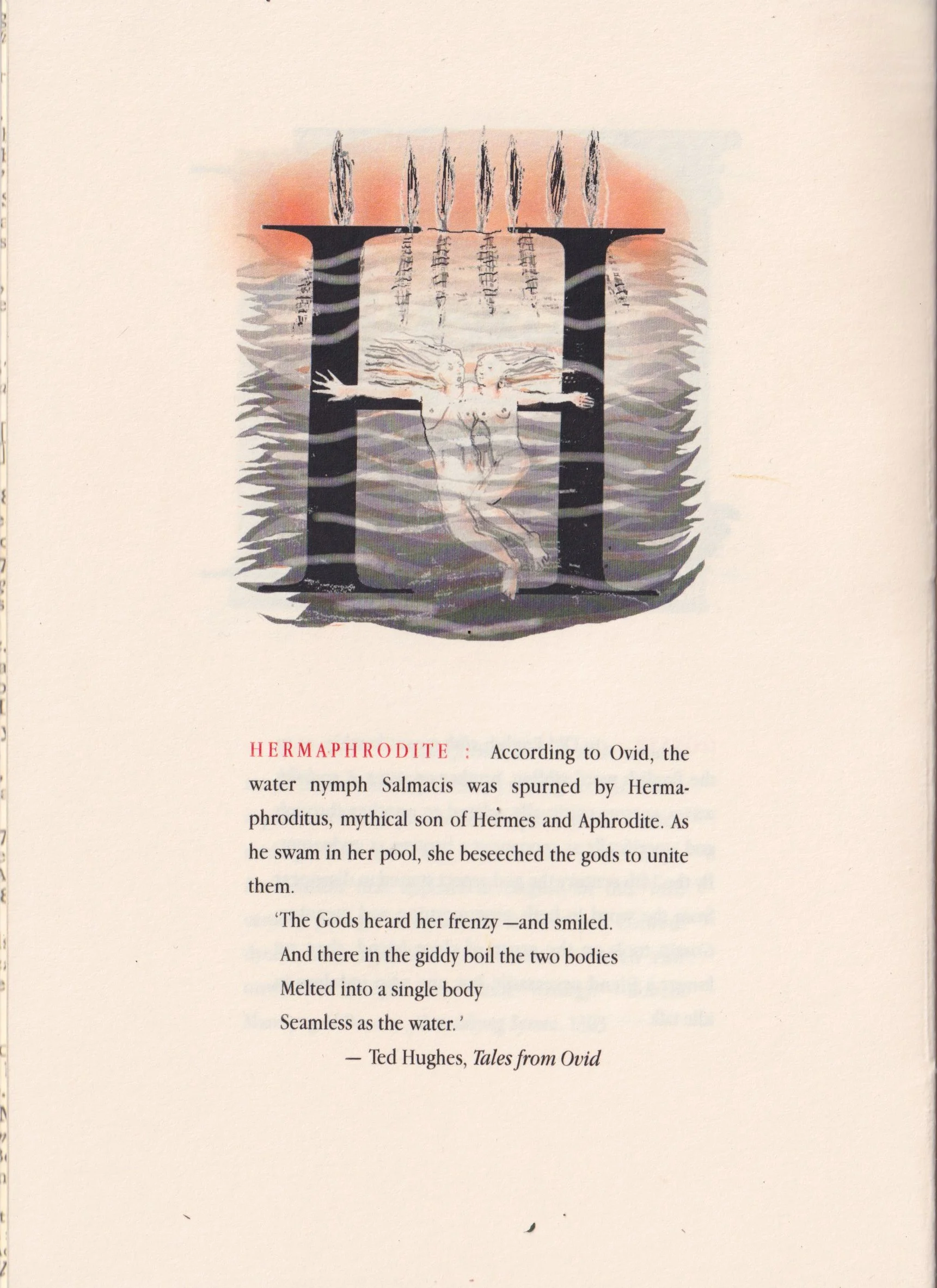 H copy.jpg