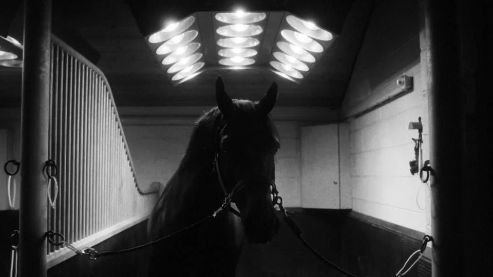 PREMIER JUMPING LEAGUE | TAKE OFF