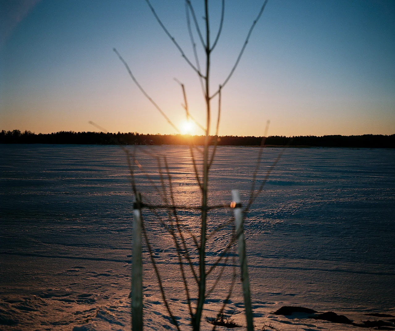 Heart of Winter