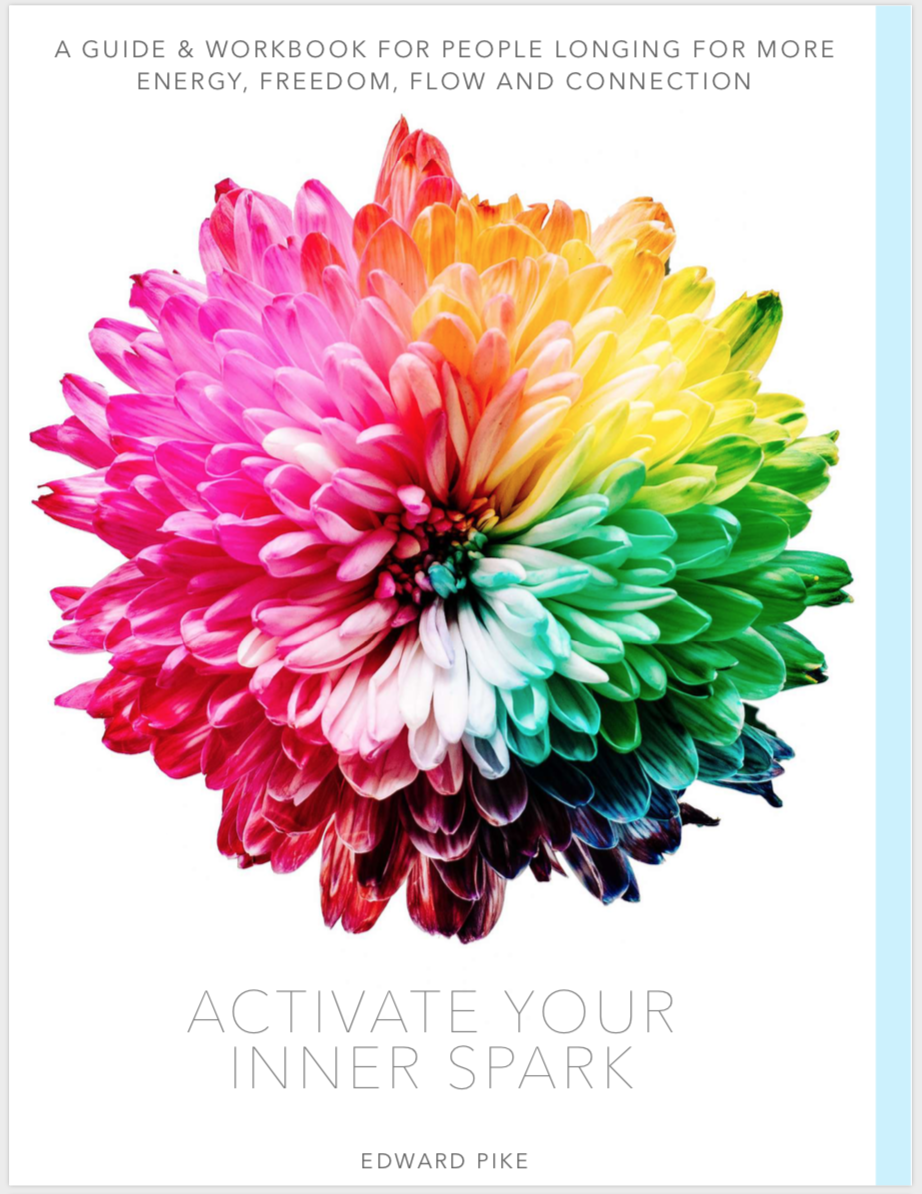 activate-inner-spark-edward-pike-workbook-meditation.png