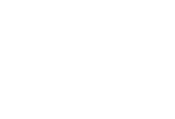 logo white.png