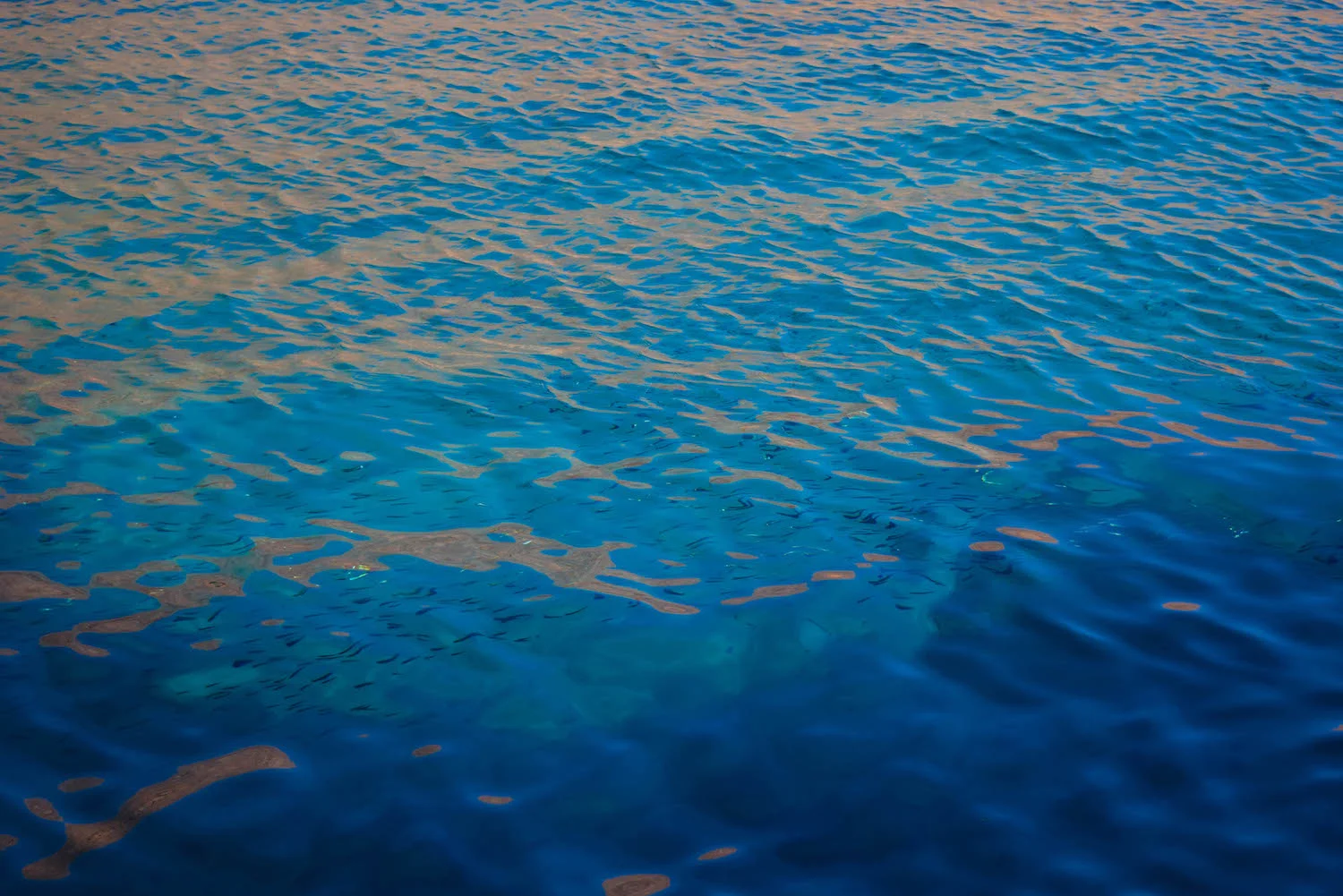 DSC_0490.jpg