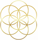 Flower Of Life White copy.png