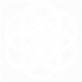 White+Flower.png