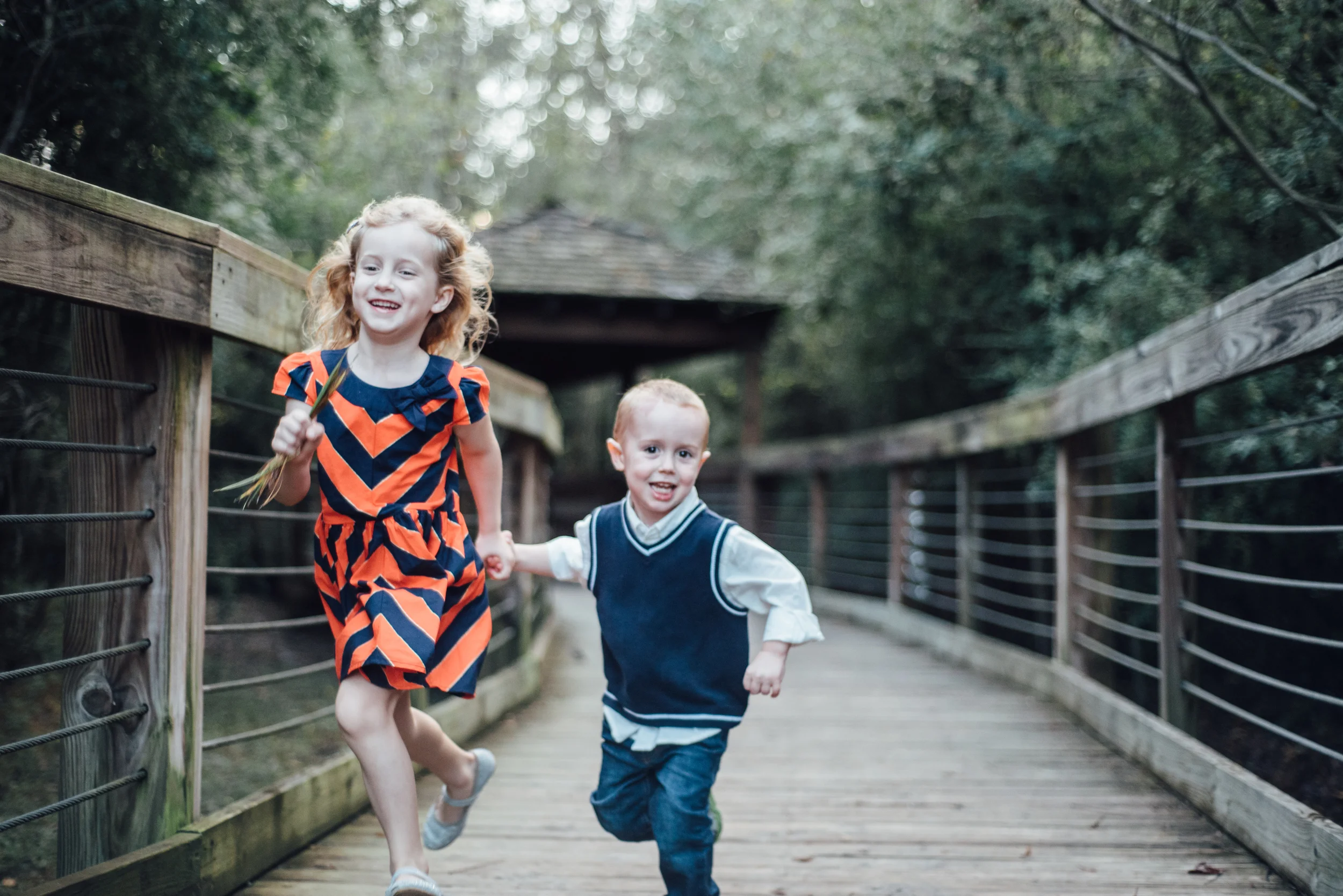  lindsey ann photography, alabama photography, family portraits, family photography, birmingham photography 