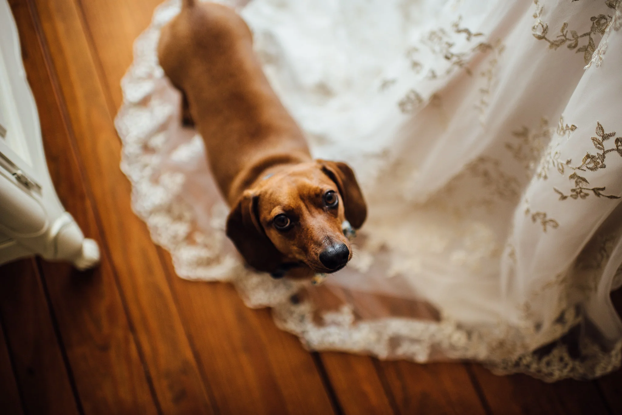 Mark & Mary's Intimate Backyard Wedding | Chelsea, Alabama