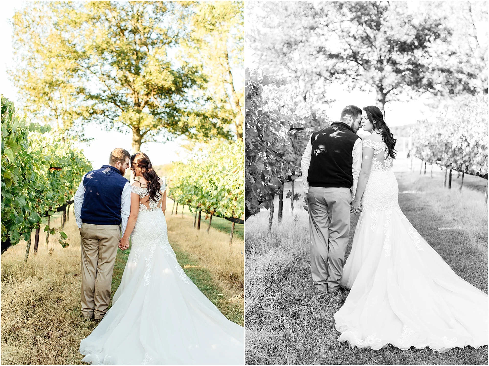  lindsey ann photography, arrington vineyards, arrington vineyard wedding, birmingham wedding photographer, wedding wire, the knot wedding, alabama wedding photographer, hoover wedding photographer 