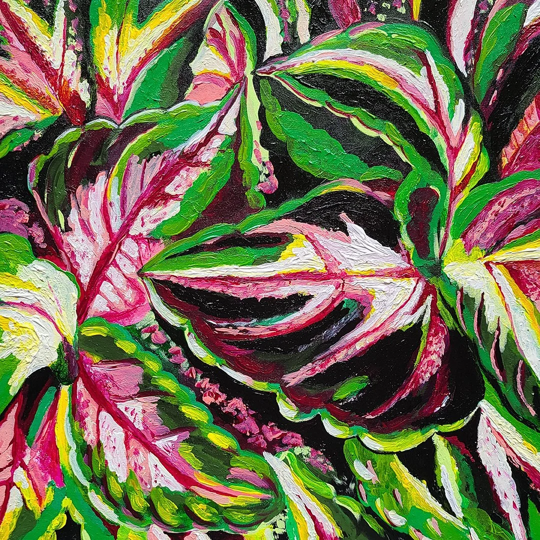 Coleus Colors #1  • acrylic on canvas
©2022 Amber C. Smith ALL RIGHTS RESERVED