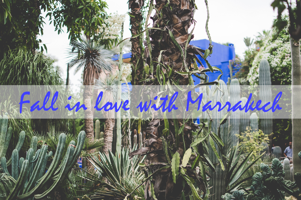 Fall_in_love_with_Marrakech.png