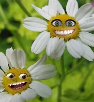 Parish Spring Plant Sale Fundraiser