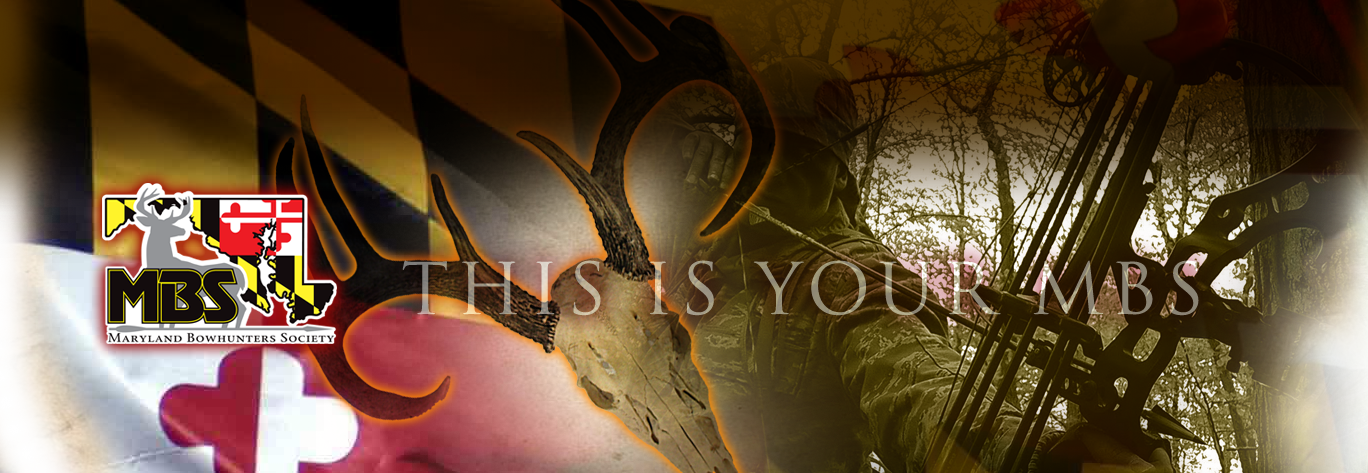 NEWHOMEBANNER.png