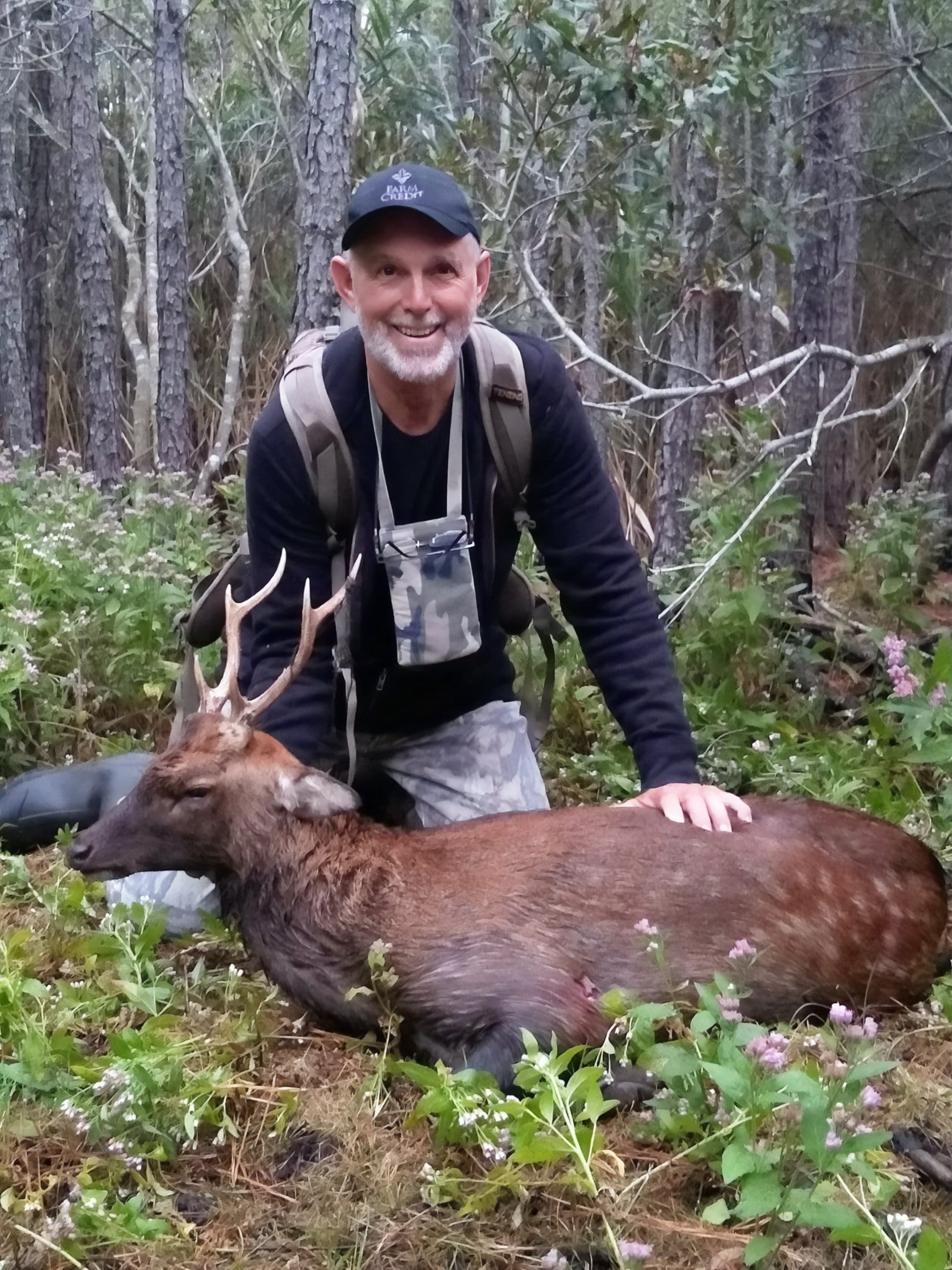 sika stag kill.JPG