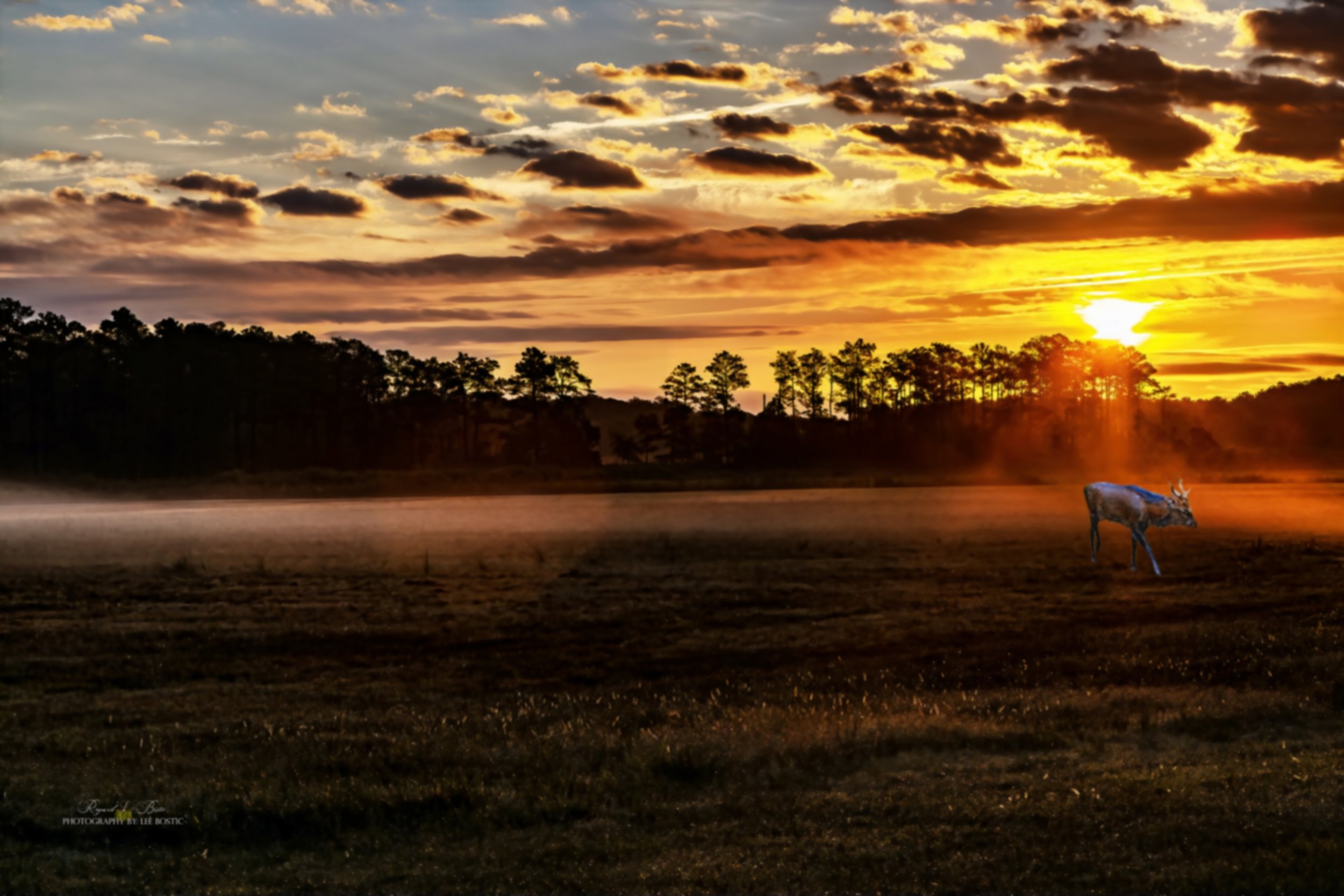 Sunset in Sikaville-a.jpg