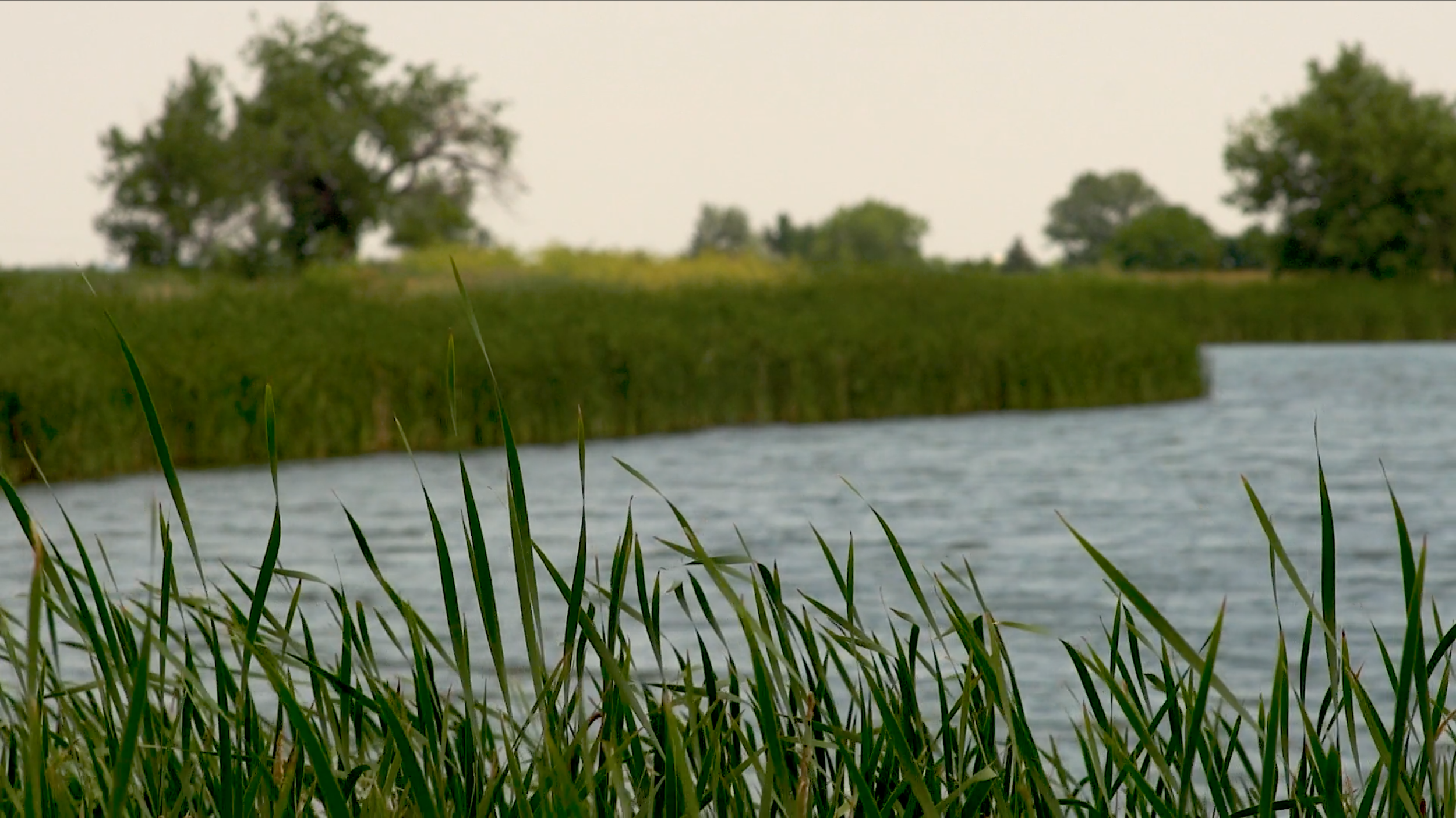Crown Hill Park, Wheat Ridge, Colorado : Montage : 0:50