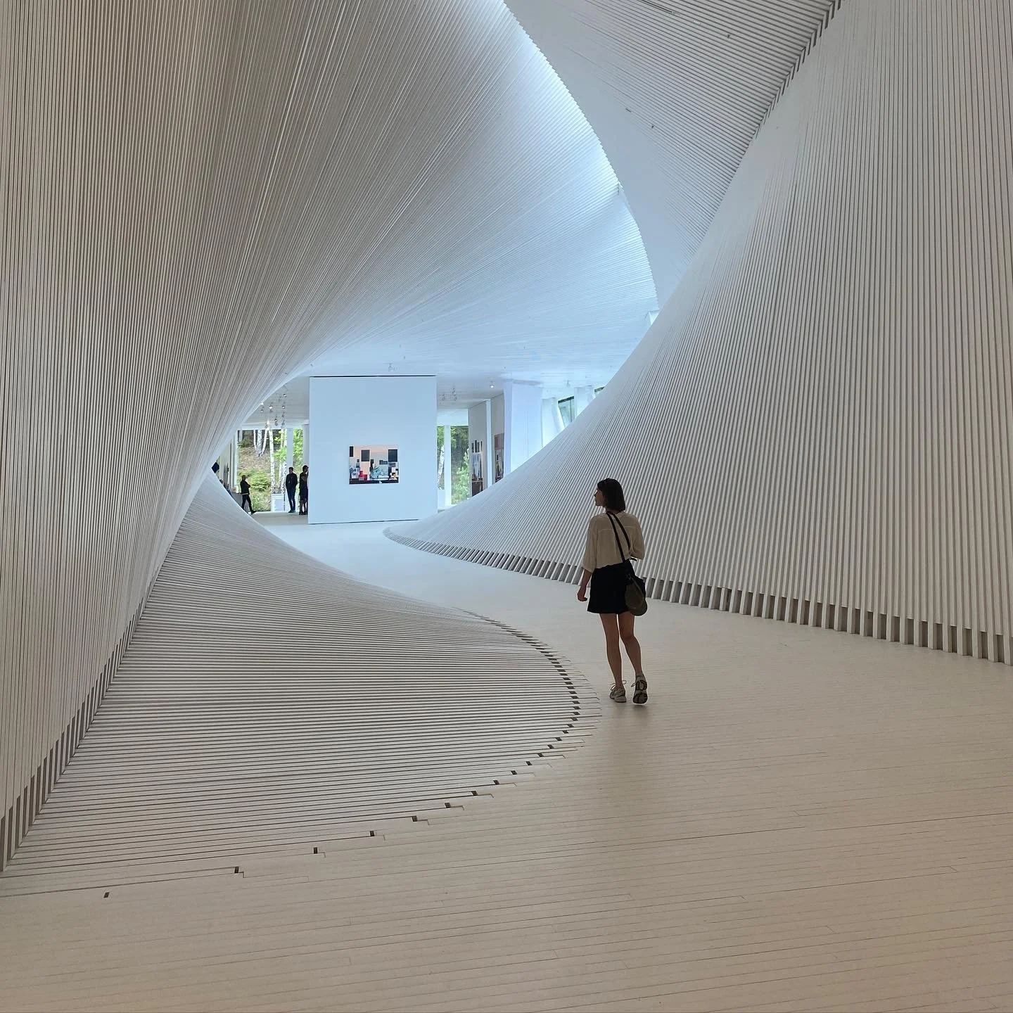 Phone photo dump last 6 months 
🇳🇴🇫🇷🇯🇵🍣🎷