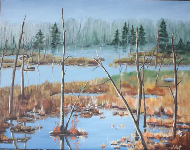 Wetlands 2