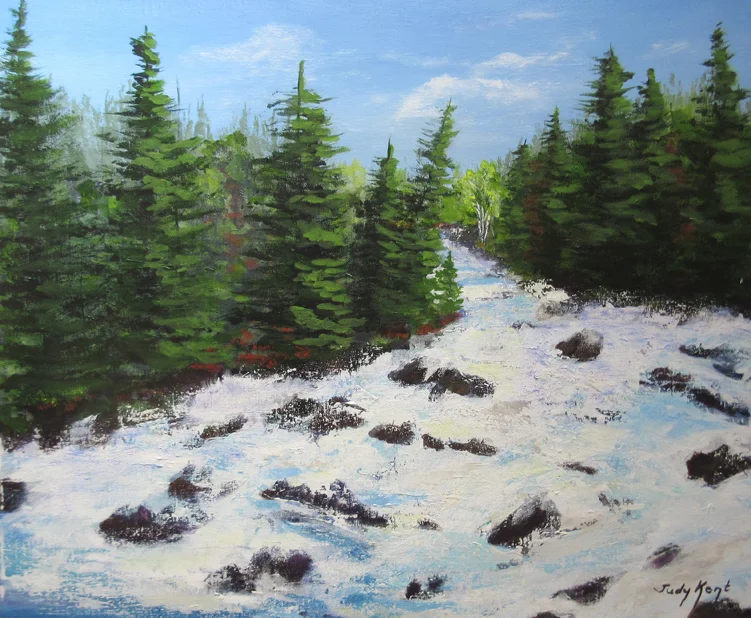 Creek in Spring