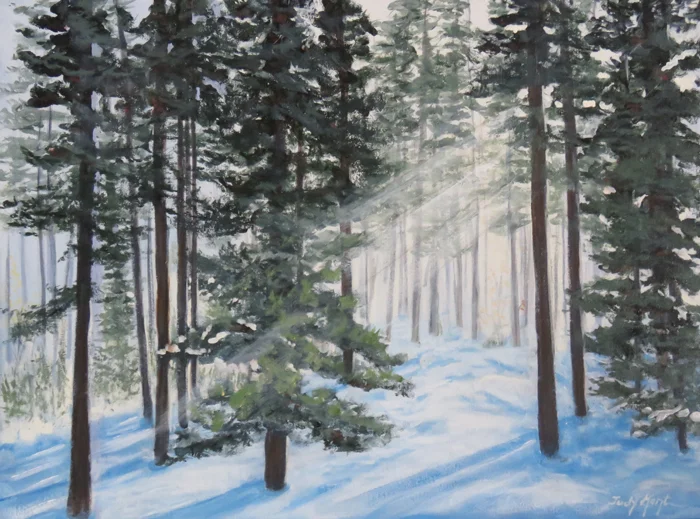 Morning Light Through the Trees