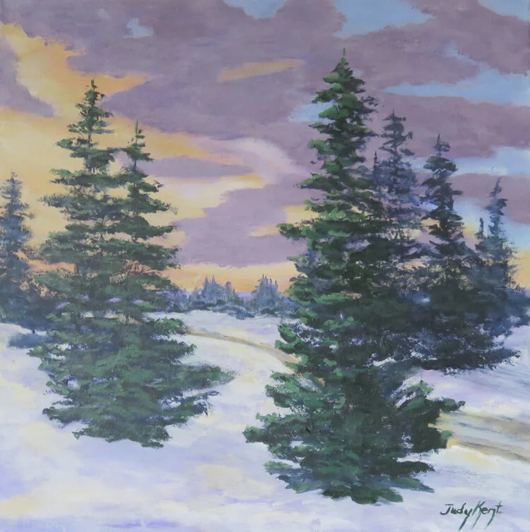 Picturesque Winter Walk