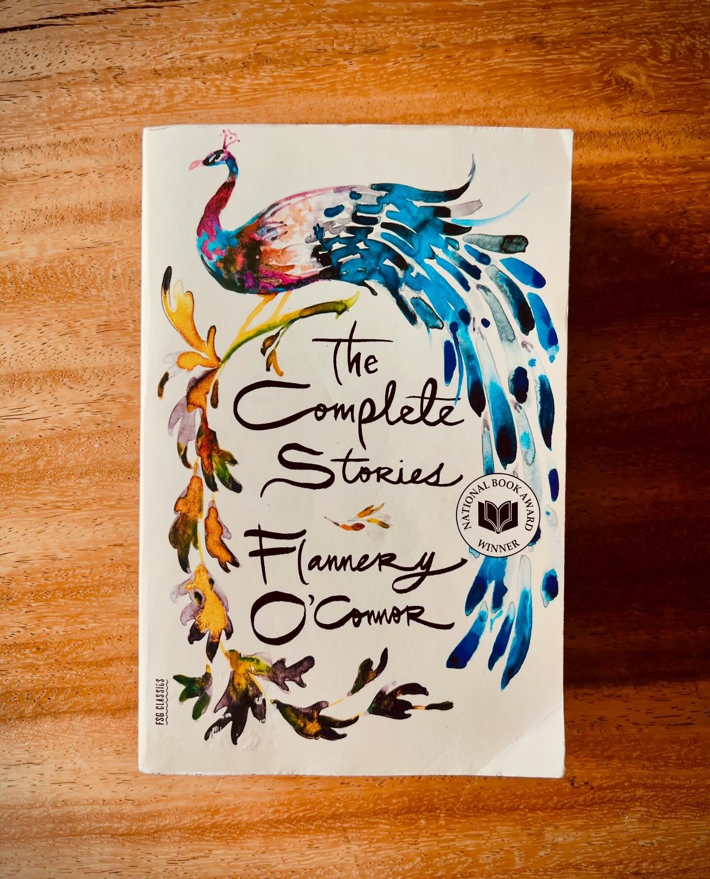 Whenever I see literary lists and all or nearly all the authors are male, it means I am authorized to purchase new books by women. #flanneryoconnor #bookstagram #literaryfiction #newbooks #booksbywomen #shortstories #bookworm #bookish