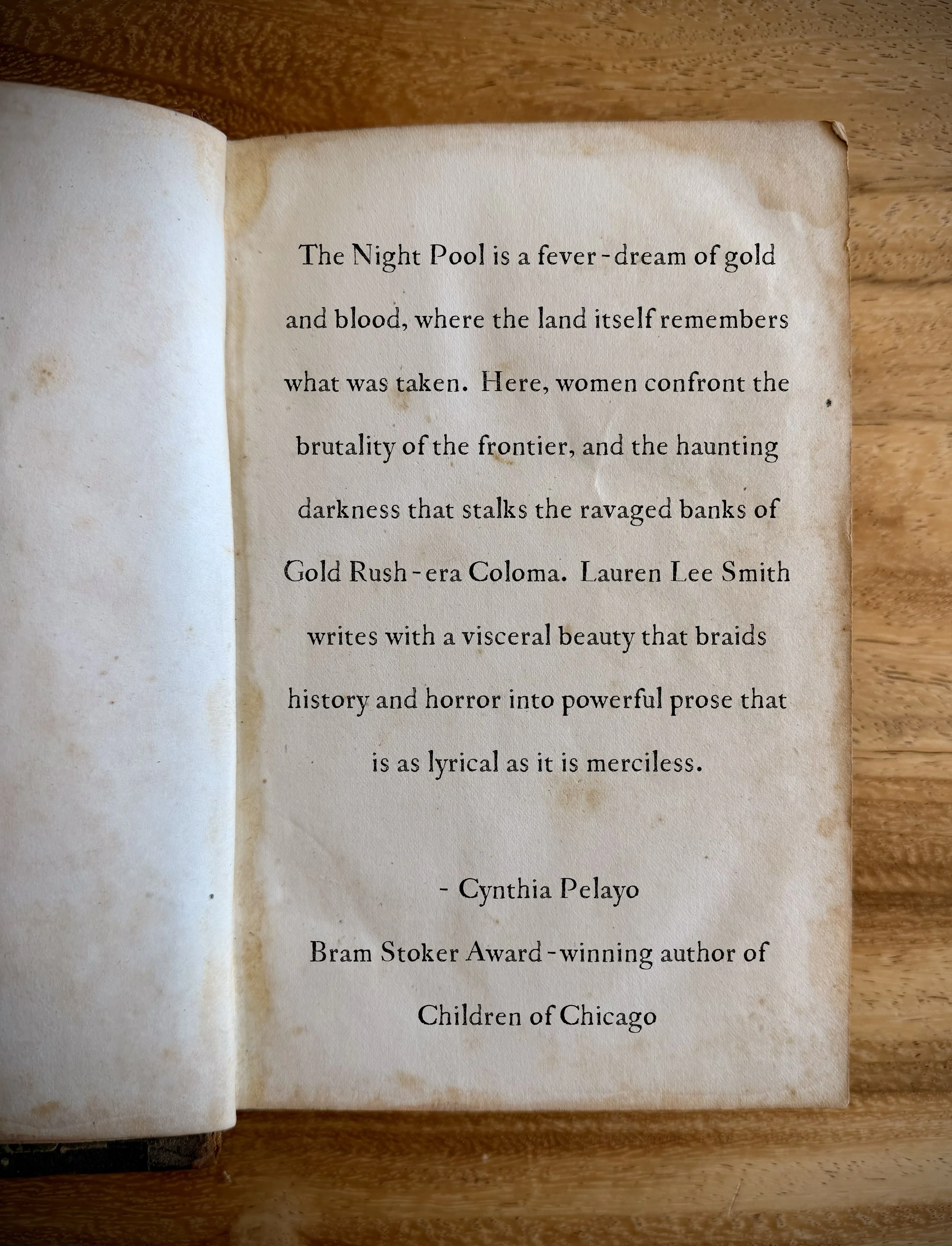 Blurb of the Night Pool by Cynthia Pelayo