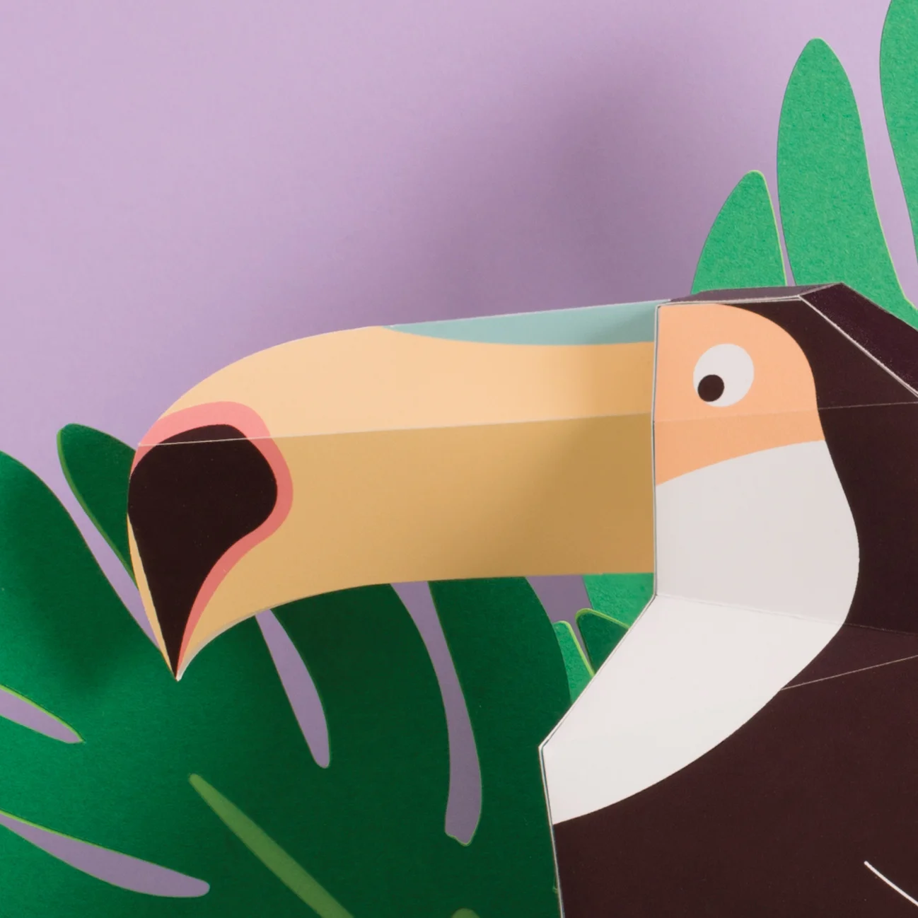 Toucandetail.jpg