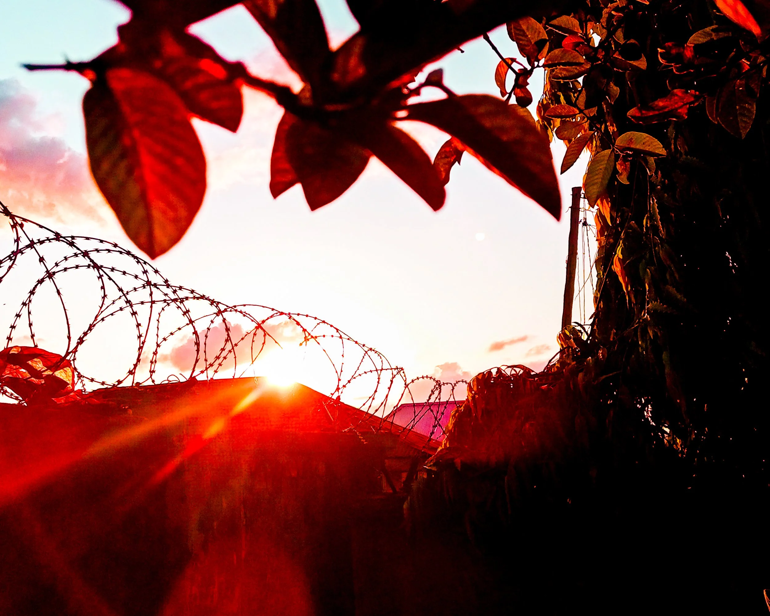 MARCH 30-MAY 1 IN GALLERY I 